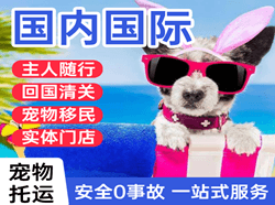 奔牛机场空运国际宠物托运 【国